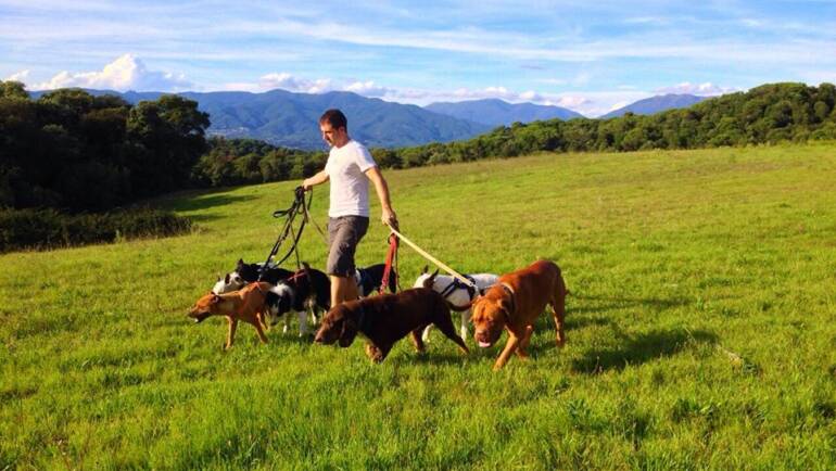 Cómo elegir el mejor centro canino para tu mascota: 5 claves imprescindibles
